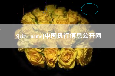 通化中国执行信息公开网