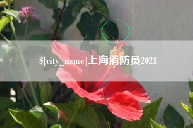 通化上海消防员2021