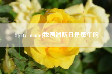 通化我国消防日是每年的