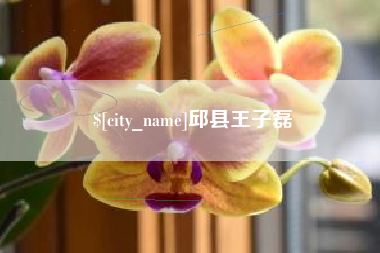 通化邱县王子磊