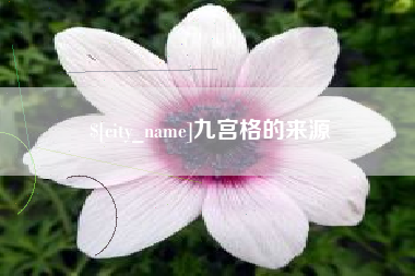 通化九宫格的来源