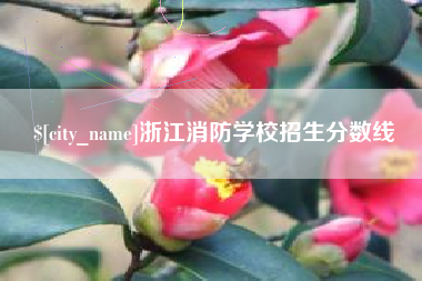 通化浙江消防学校招生分数线