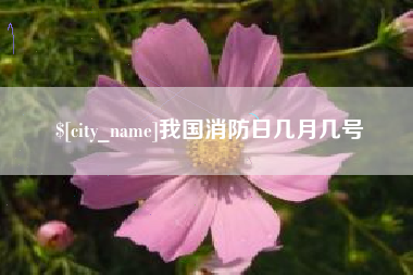 通化我国消防日几月几号
