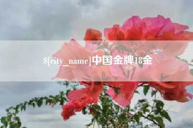 通化中国金牌18金
