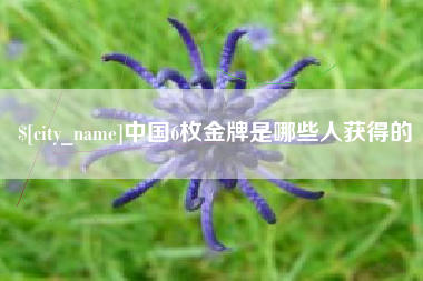 通化中国6枚金牌是哪些人获得的