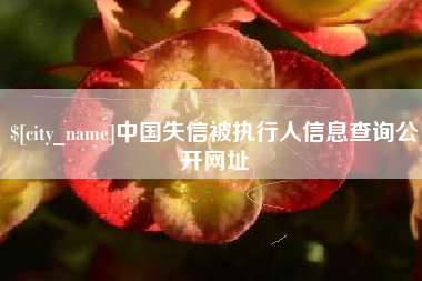 通化中国失信被执行人信息查询公开网址