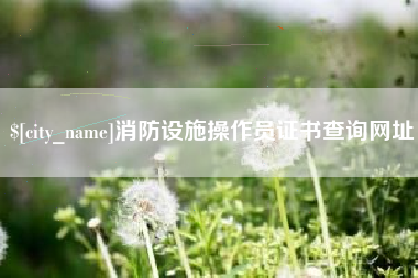 通化消防设施操作员证书查询网址
