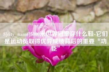 通化5000米世界冠军穿什么鞋-它们是运动员取得优异成绩背后的重要“功臣”