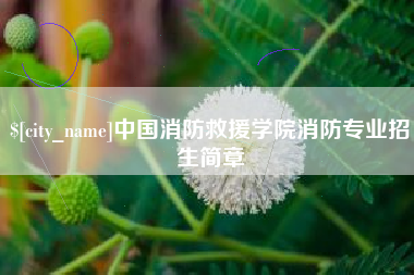 通化中国消防救援学院消防专业招生简章