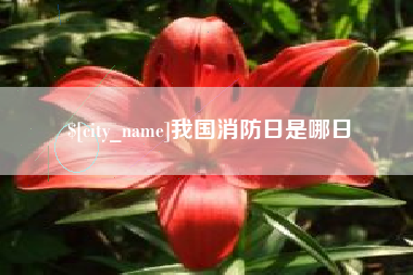 通化我国消防日是哪日