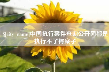 通化中国执行案件查询公开网都是执行不了得案子