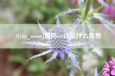 通化消防ccc认证什么意思