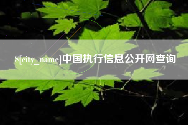 通化中国执行信息公开网查询