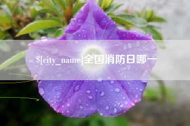 通化全国消防日哪一