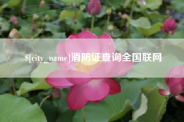 通化消防证查询全国联网