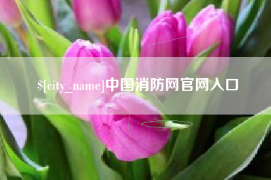 通化中国消防网官网入口
