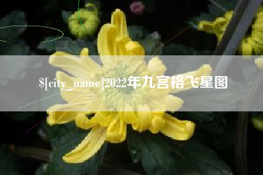 通化2022年九宫格飞星图