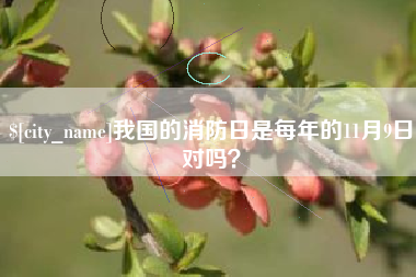 通化我国的消防日是每年的11月9日对吗？