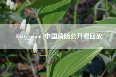 通化中国消防公开课回放