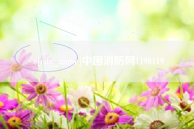 通化中国消防网1190119