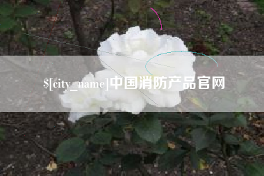 通化中国消防产品官网