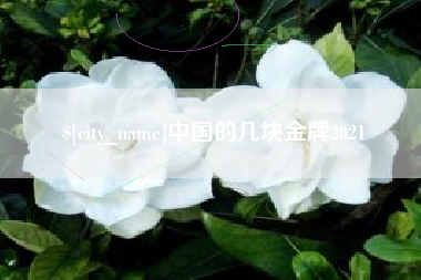 通化中国的几块金牌2021
