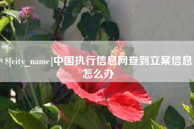 通化中国执行信息网查到立案信息怎么办