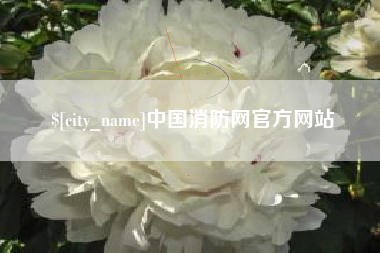 通化中国消防网官方网站