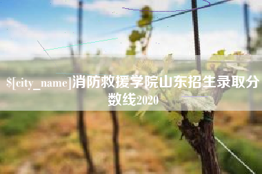 通化消防救援学院山东招生录取分数线2020