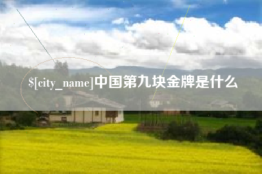 通化中国第九块金牌是什么