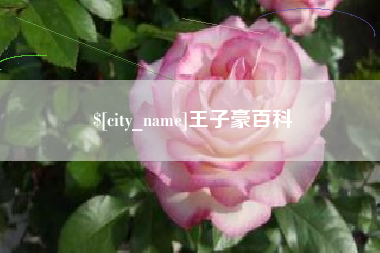 通化王子豪百科
