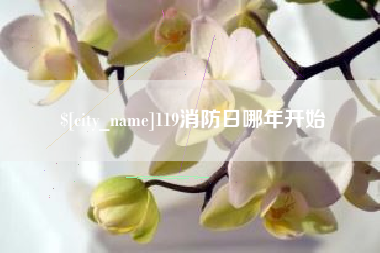 通化119消防日哪年开始