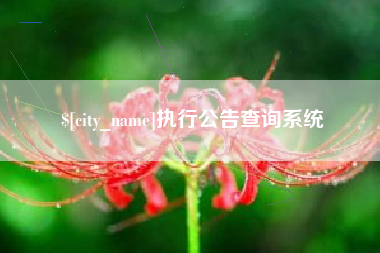 通化执行公告查询系统