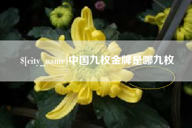 通化中国九枚金牌是哪九枚