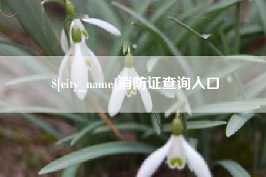 通化消防证查询入口