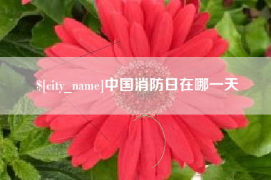 通化中国消防日在哪一天