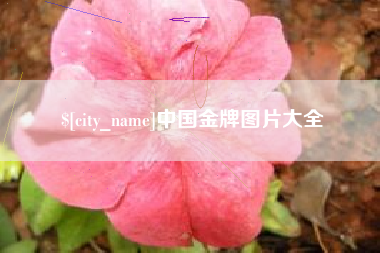 通化中国金牌图片大全