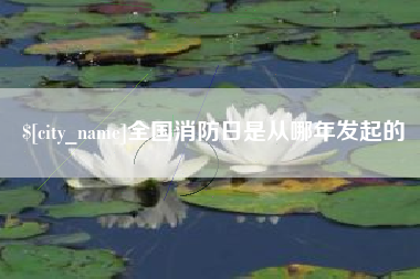 通化全国消防日是从哪年发起的
