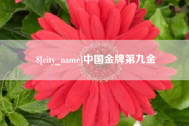 通化中国金牌第九金