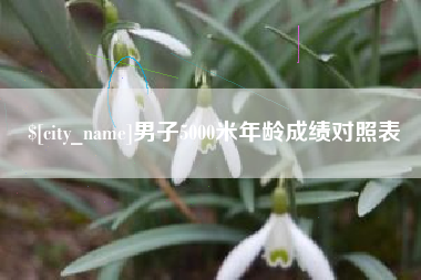 通化男子5000米年龄成绩对照表