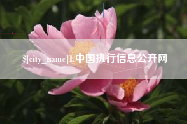 通化1.中国执行信息公开网