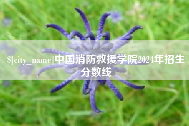 通化中国消防救援学院2024年招生分数线