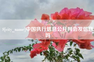 通化中国执行信息公开网会发信息吗
