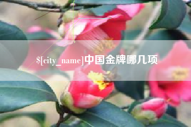 通化中国金牌哪几项