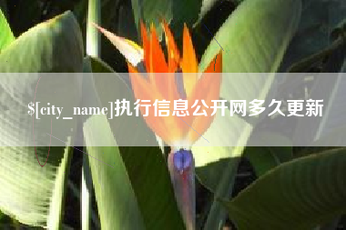 通化执行信息公开网多久更新