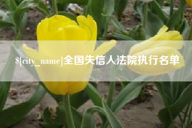通化全国失信人法院执行名单