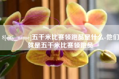 通化五千米比赛领跑员是什么-他们就是五千米比赛领跑员