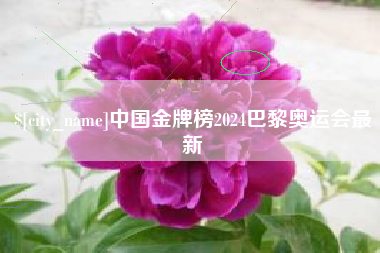 通化中国金牌榜2024巴黎奥运会最新