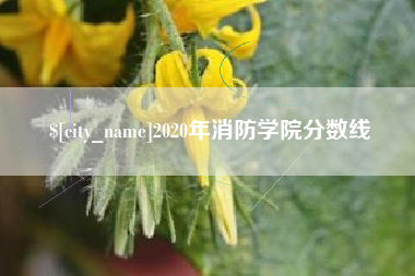 通化2020年消防学院分数线