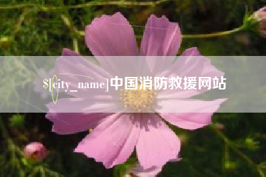 通化中国消防救援网站